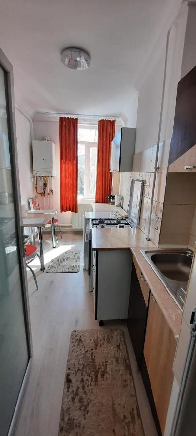 Apartament La Denis Birlad ภายนอก รูปภาพ
