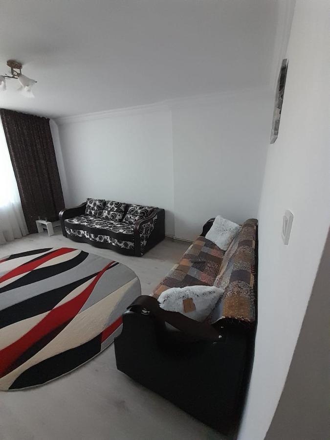 Apartament La Denis Birlad ภายนอก รูปภาพ