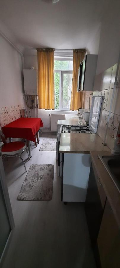 Apartament La Denis Birlad ภายนอก รูปภาพ