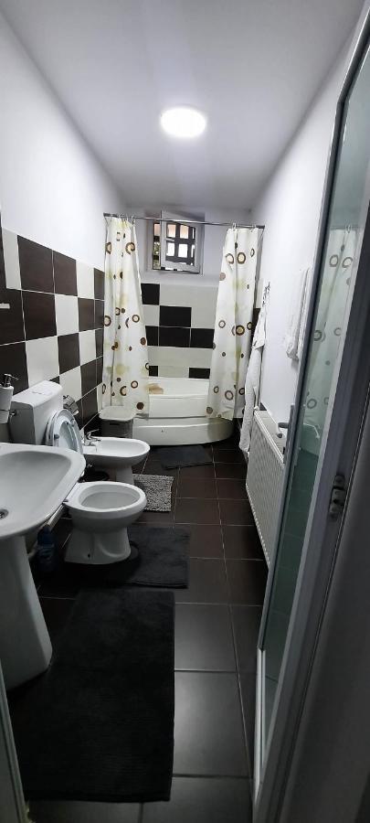 Apartament La Denis Birlad ภายนอก รูปภาพ