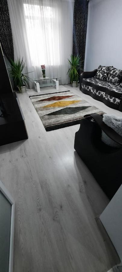 Apartament La Denis Birlad ภายนอก รูปภาพ